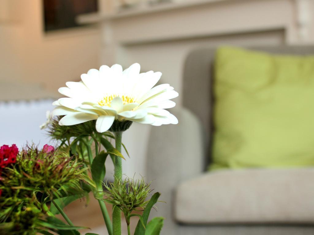 B&B Alphabet - Luxury Guesthouse And Art Gallery Bruges Room photo